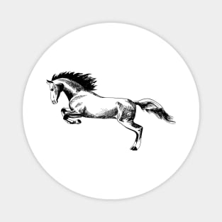 running horse Magnet